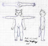 Project 2, Body Concept