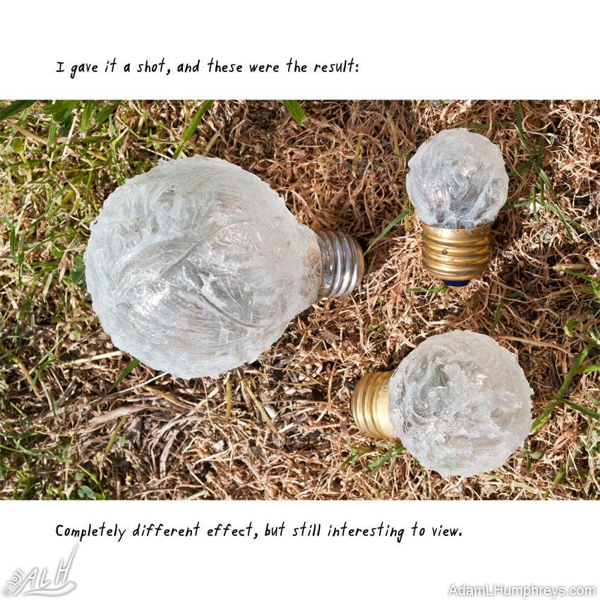 I Collect Light Bulbs 05