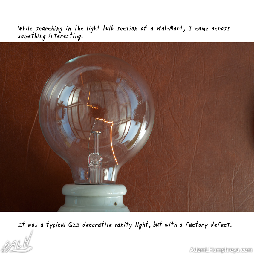 I Collect Light Bulbs 06