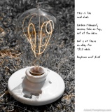 I Collect Light Bulbs 22